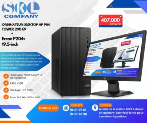 hp pro tower 290 g9 + Écran HP P204V